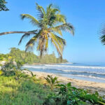Karibikstrand, Regenwald und Tierwelt im Cahuita Nationalpark Cahuita Nationalpark, Karibikstrand und Tierwelt in Costa Rica