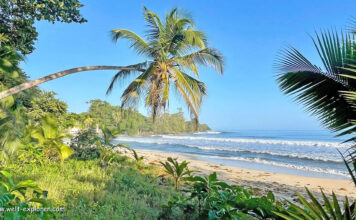 Karibikstrand, Regenwald und Tierwelt im Cahuita Nationalpark Cahuita Nationalpark, Karibikstrand und Tierwelt in Costa Rica