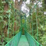 Monteverde Nebelwald und Naturschutzgebiet Monteverde Nebelwald und Naturschutzgebiet in Costa Rica