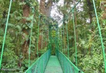 Monteverde Nebelwald und Naturschutzgebiet Monteverde Nebelwald und Naturschutzgebiet in Costa Rica