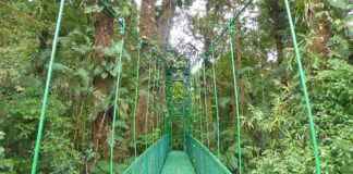 Monteverde Nebelwald und Naturschutzgebiet Monteverde Nebelwald und Naturschutzgebiet in Costa Rica