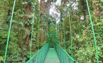 Monteverde Nebelwald und Naturschutzgebiet Monteverde Nebelwald und Naturschutzgebiet in Costa Rica