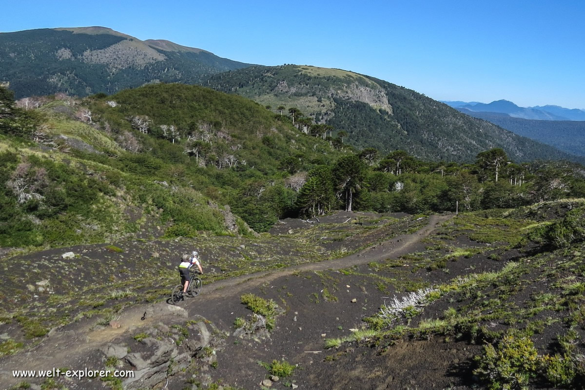 Nationalpark Villarica MTB-Tour