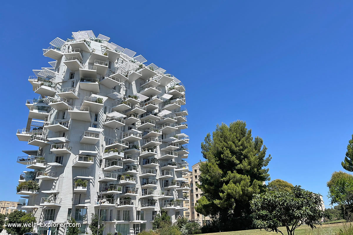 L'Arbre Blanc Gebäude moderne Architektur