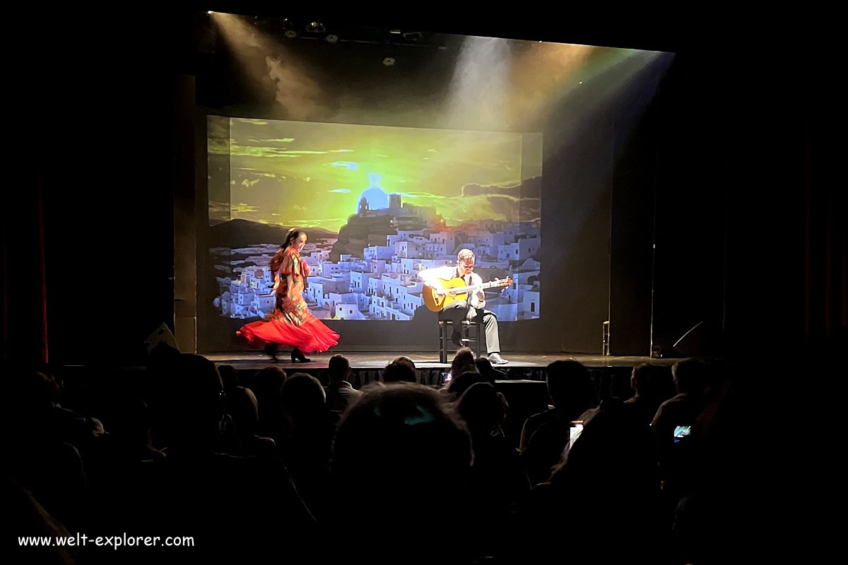 Flamenco-Show in Granada