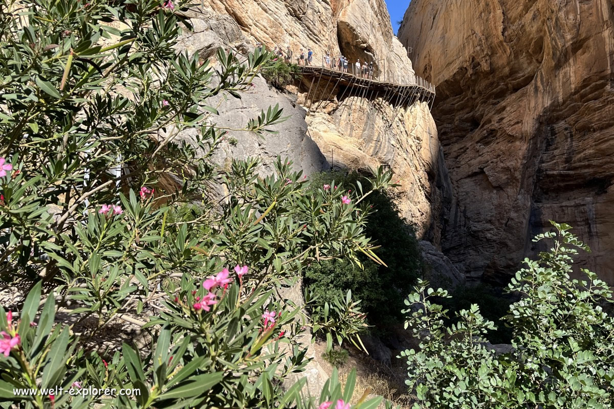 Wanderer auf dem Steg auf dem Königsweg in Andalusien