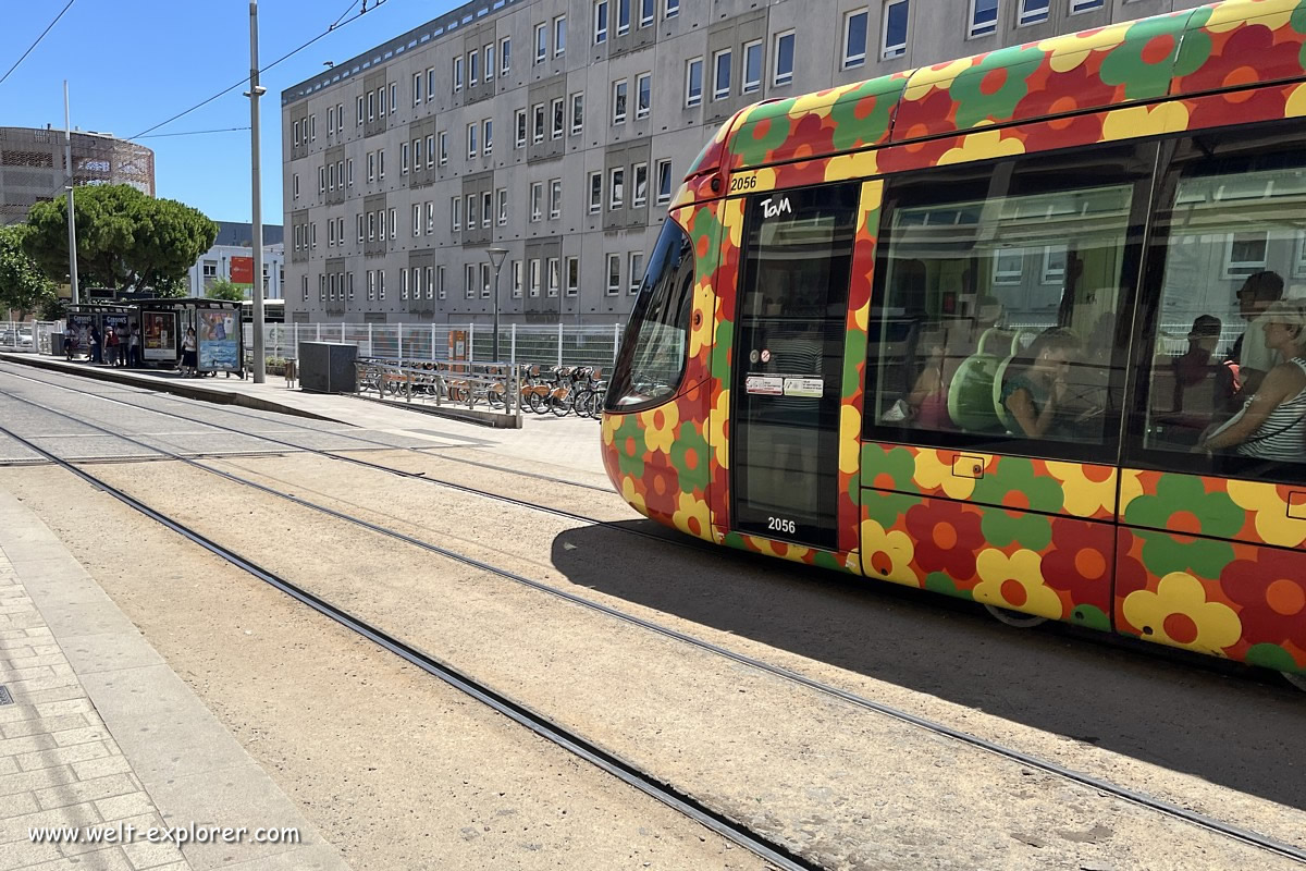 Tram und Strassenbahn in Montpellier