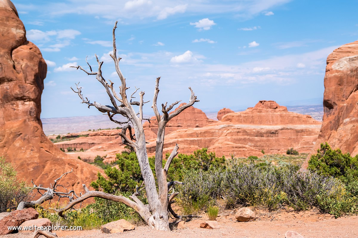 Landschaft bei Moab im Bundesstaat Utah
