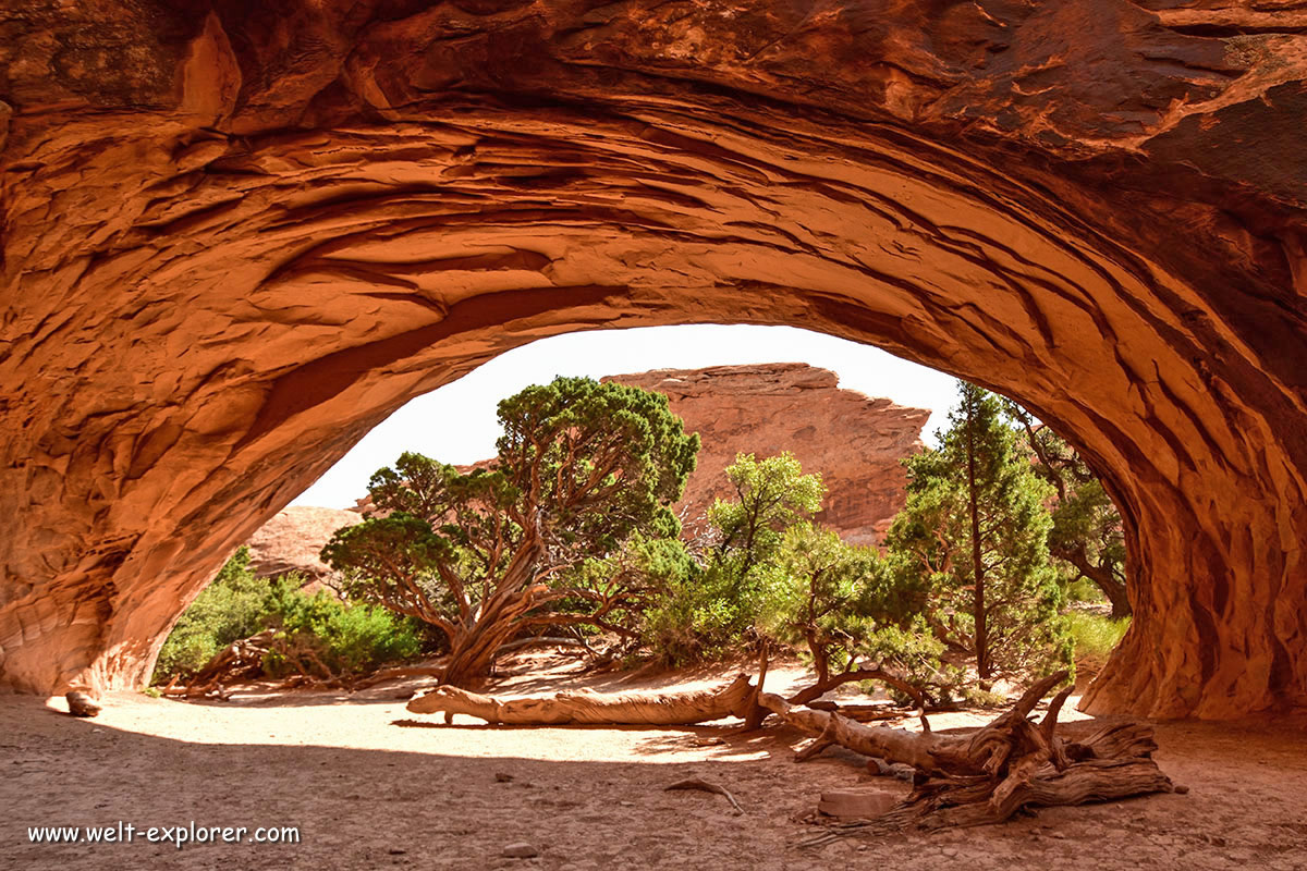 Navajo Arch auf dem Devils Garden Trail