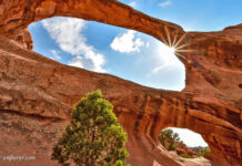 Arches Nationalpark und Wanderung auf Devils Garden Trail Arches Nationalpark Steinformationen Utah USA