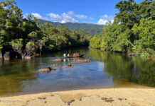 Masoala-Nationalpark: Reich der Lemuren im Regenwald Regenwald im Masoala Nationalpark in Madagaskar