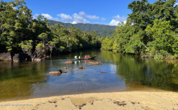 Masoala-Nationalpark: Reich der Lemuren im Regenwald Regenwald im Masoala Nationalpark in Madagaskar