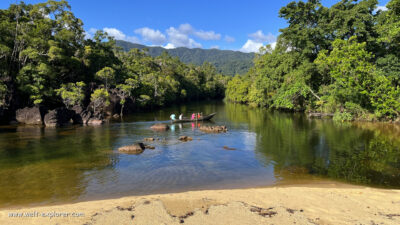 Masoala-Nationalpark: Reich der Lemuren im Regenwald Regenwald im Masoala Nationalpark in Madagaskar