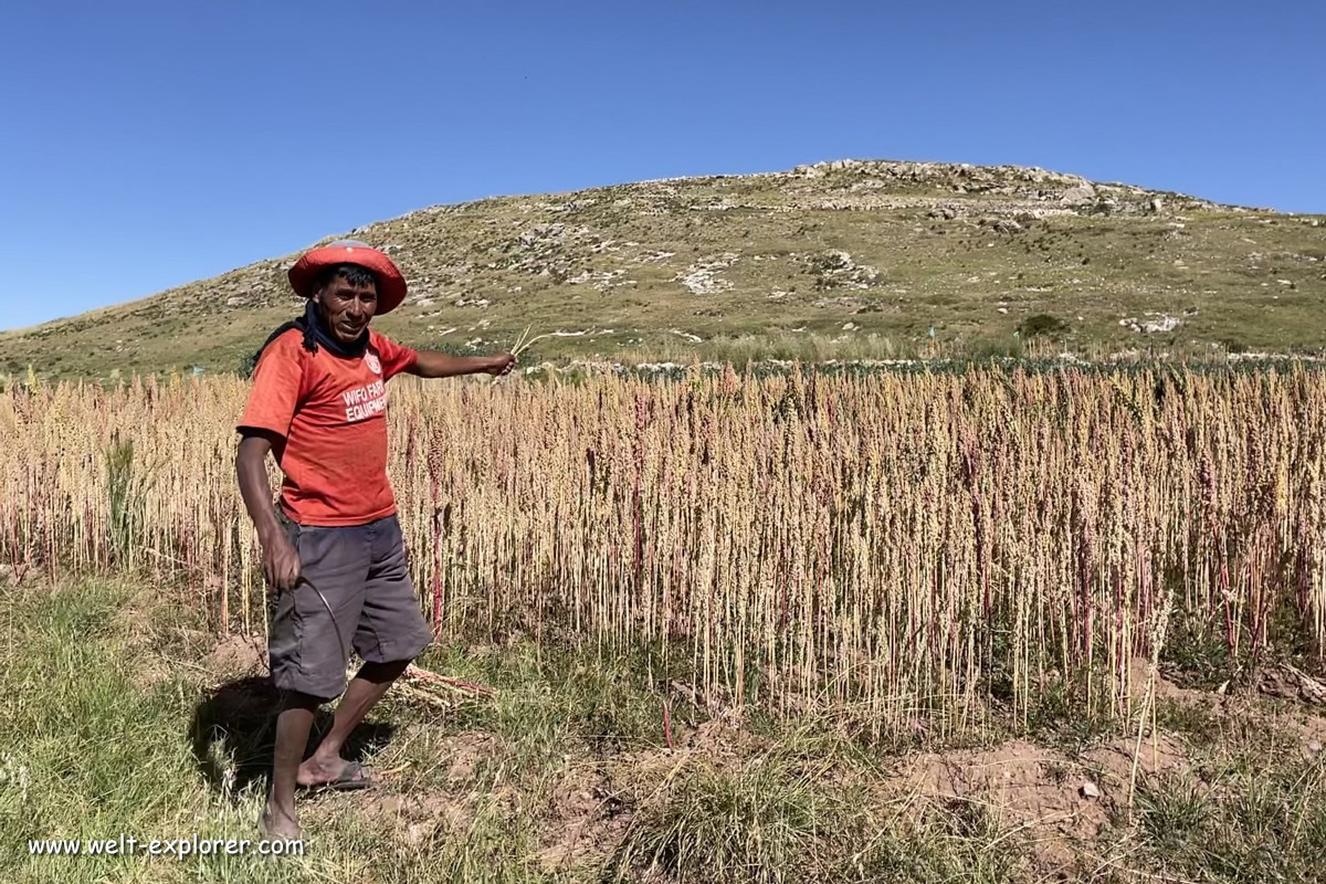 Peruanischer Bauer in den Anden