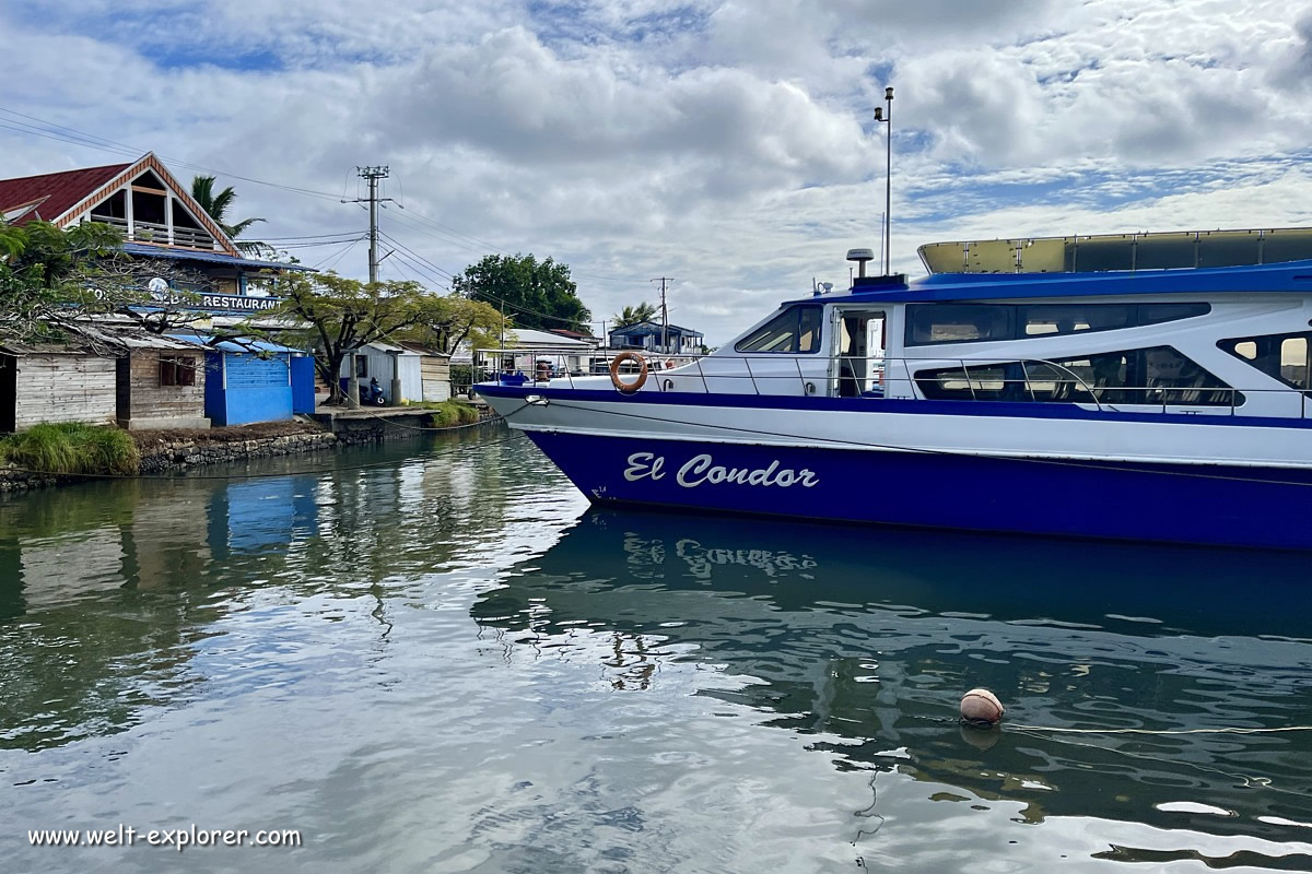 Ausflug und Tour zur Walbeobachtung in Madagaskar