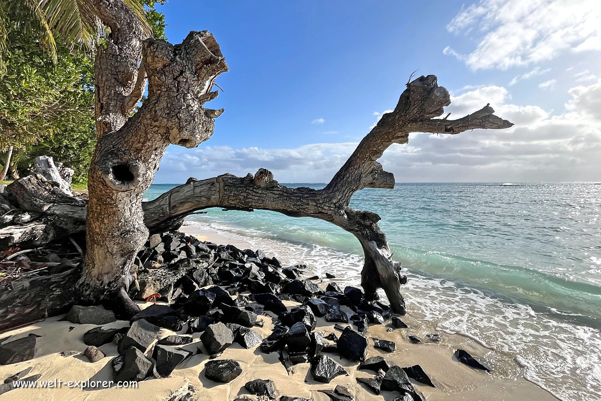 Strand und Küste auf der Insel Ile aux Nattes