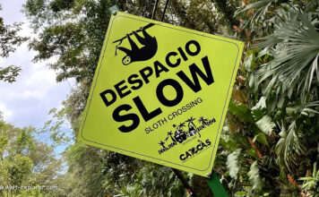 Costa Rica: Reiseinformationen, Reisetipps und Reiseführer Costa Rica Reiseführer, Reiseinformationen, Reisevorbereitung und Reisetipps