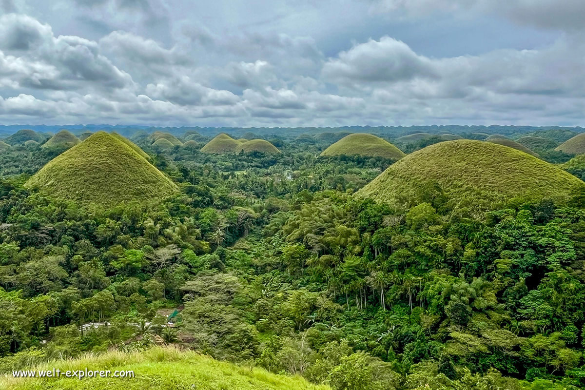 Chocolate Hills auf der Insel Bohol in den Philippinen