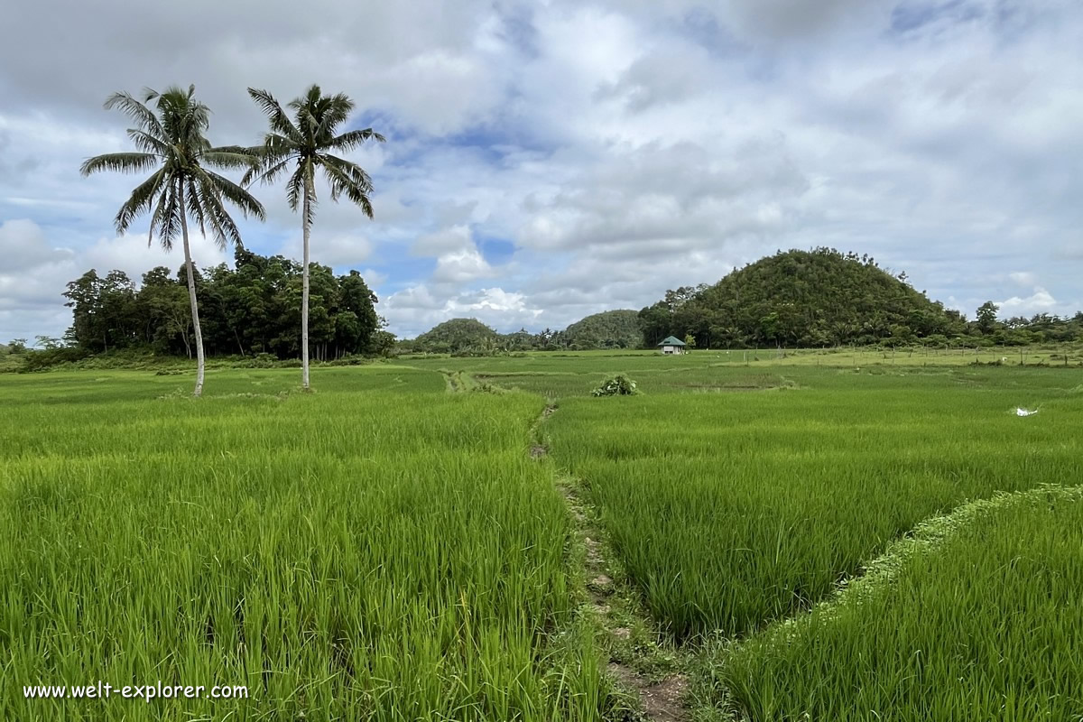 Geografie und Landschaft auf der Insel Bohol in den Visayas