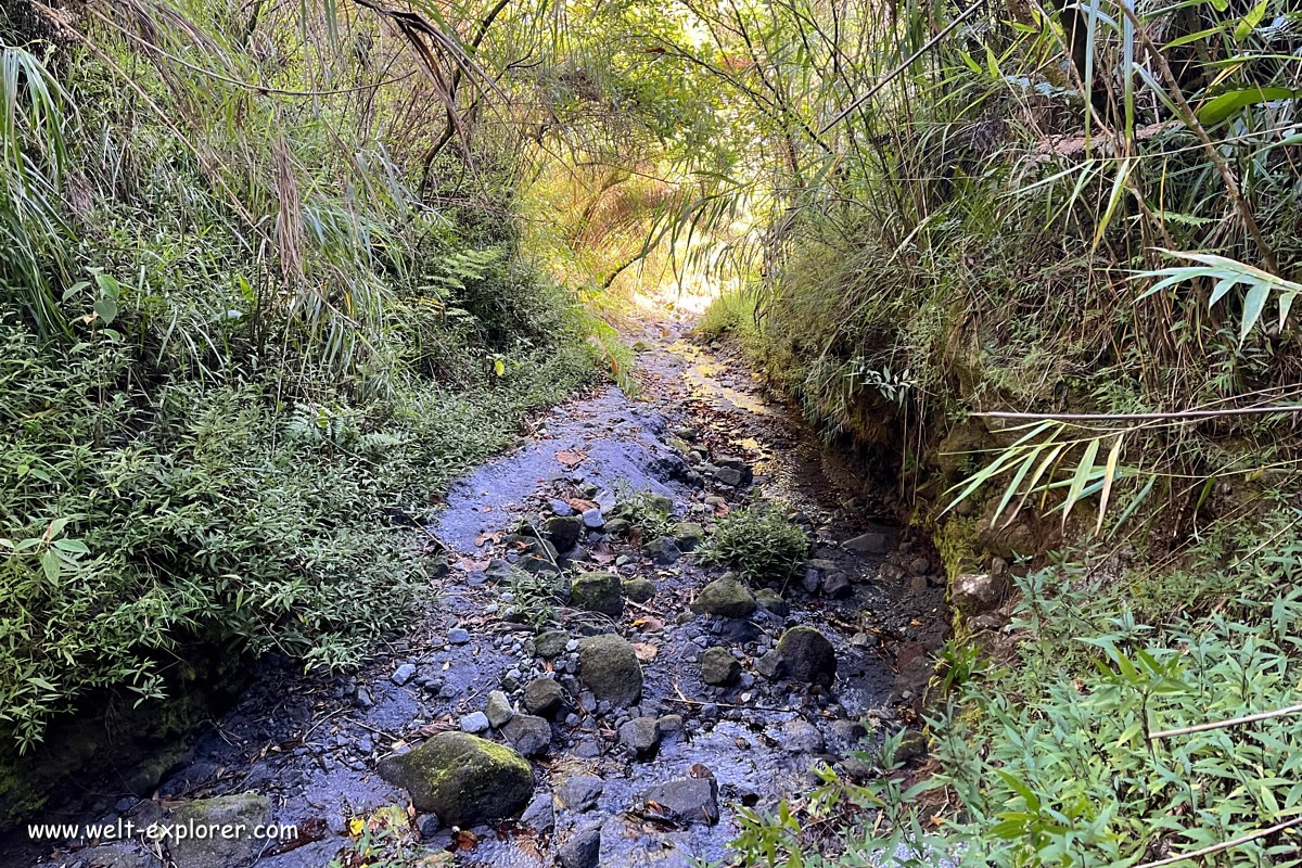 Wanderung auf dem Inararo Trail