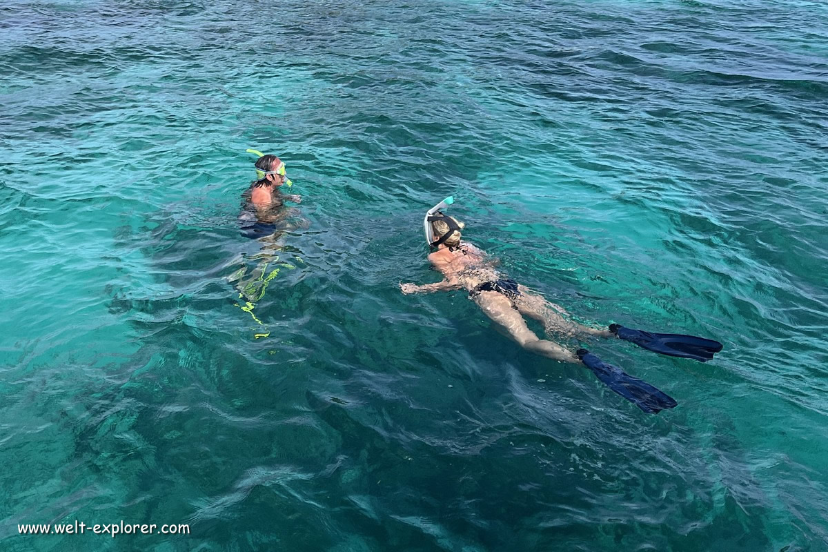 Schnorcheln und tauchen auf Bohol