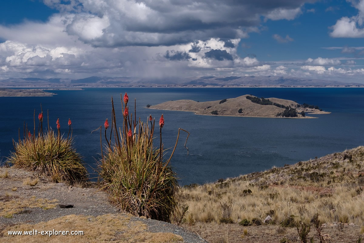Bolivien Landschaft am Titicacasee mit Sonneninsel