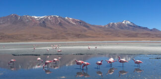 Bolivien: Reiseinformationen, Reisetipps und Reiseführer Bolivien Reiseführer, Informationen und Tipps für Reisevorbereitung