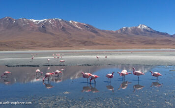 Bolivien: Reiseinformationen, Reisetipps und Reiseführer Bolivien Reiseführer, Informationen und Tipps für Reisevorbereitung