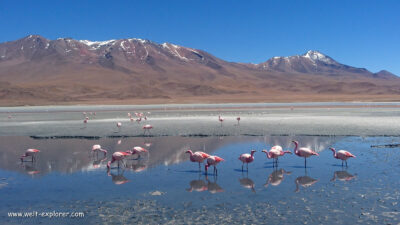 Bolivien: Reiseinformationen, Reisetipps und Reiseführer Bolivien Reiseführer, Informationen und Tipps für Reisevorbereitung