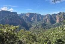Amboro-Nationalpark: Nebelwald, Felsgiganten und Riesenfarne Amboro-Nationalpark in Bolivien in Südamerika