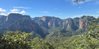 Amboro-Nationalpark: Nebelwald, Felsgiganten und Riesenfarne Amboro-Nationalpark in Bolivien in Südamerika