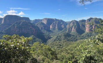 Amboro-Nationalpark: Nebelwald, Felsgiganten und Riesenfarne Amboro-Nationalpark in Bolivien in Südamerika