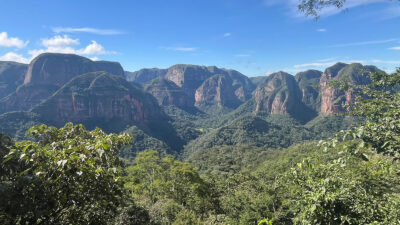 Amboro-Nationalpark: Nebelwald, Felsgiganten und Riesenfarne Amboro-Nationalpark in Bolivien in Südamerika