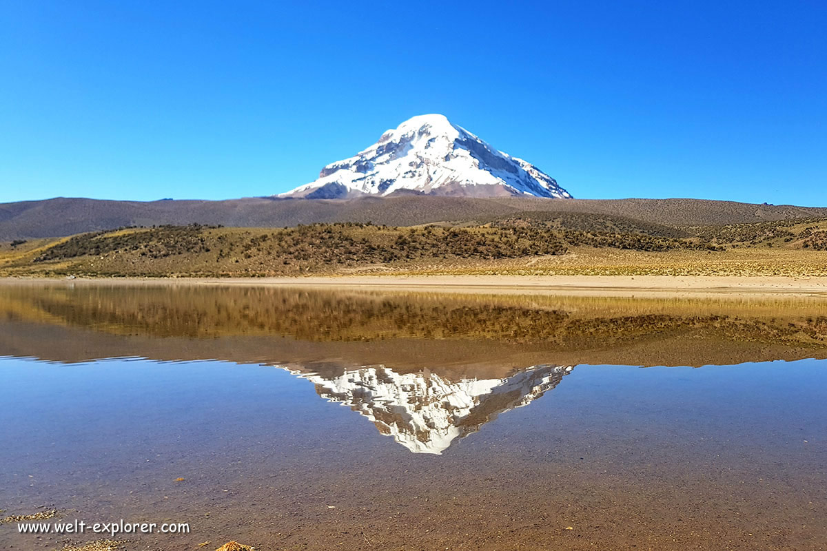 Vulkan Sajama höchster Berg in Bolivien