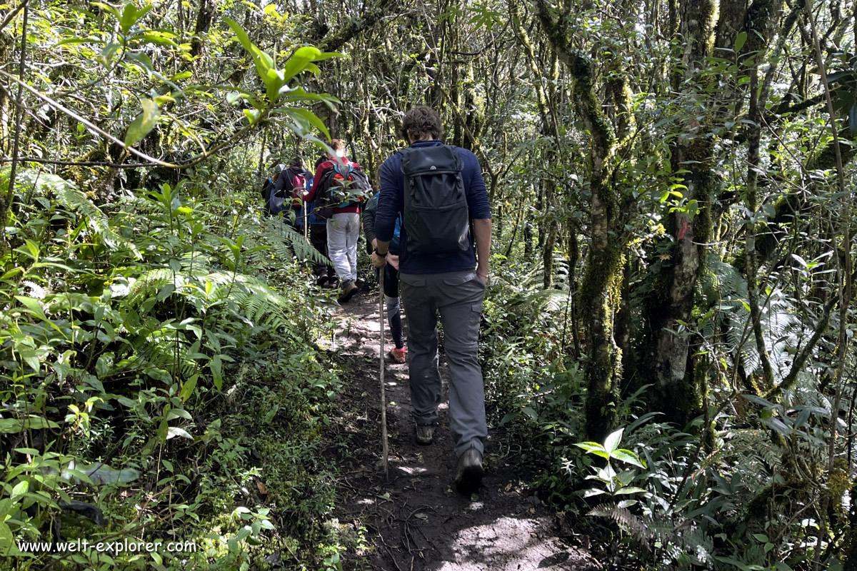 Wanderung durch den Amboro-Nationalpark