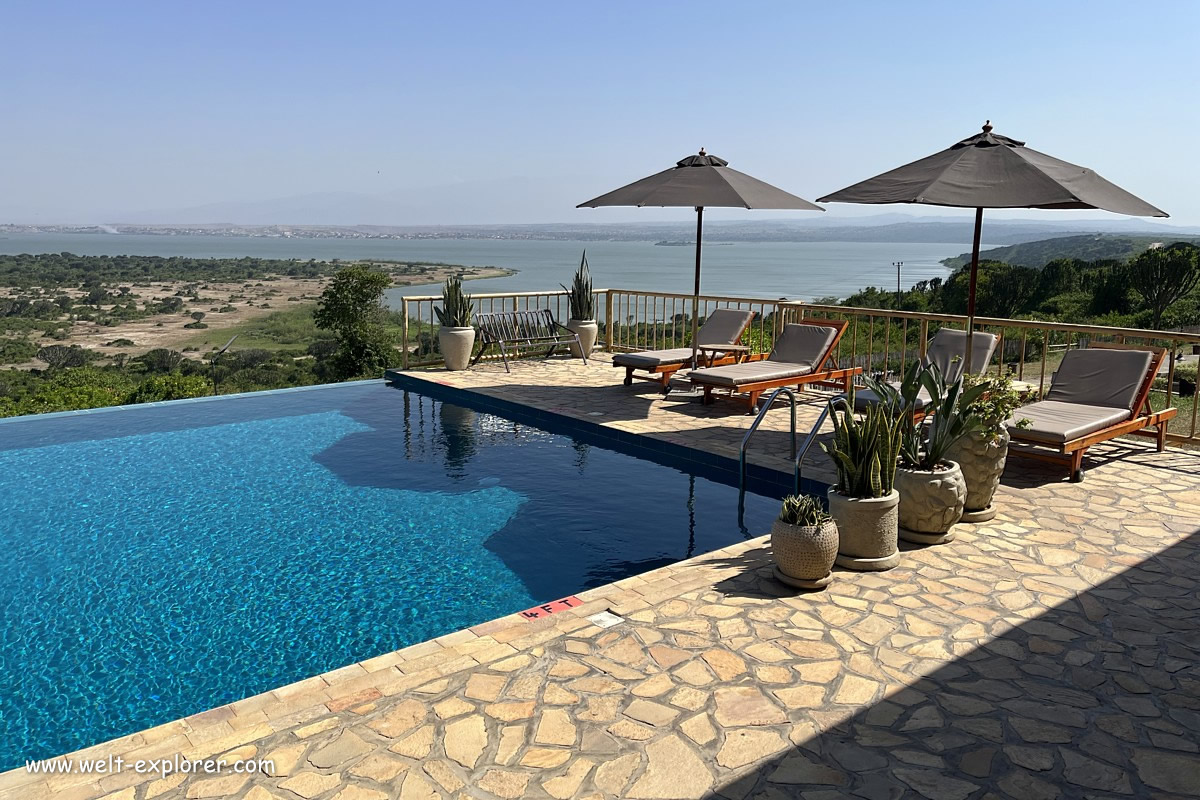 Infinity Pool im Hotel und Lodge im Nationalpark in Uganda