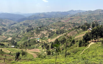Uganda Landschaft beim Bergdorf Ruhija