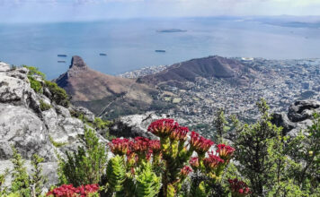 Südafrika Tafelberg und Kapstadt in Südafrika
