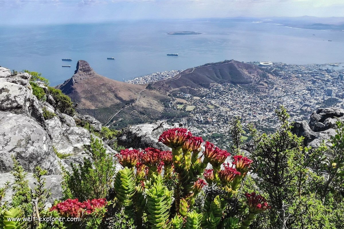 Tafelberg und Kapstadt in Südafrika